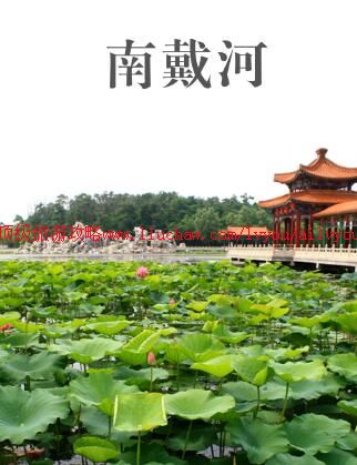 ailvyou901�ϴ������ι���   ��20Ԫ