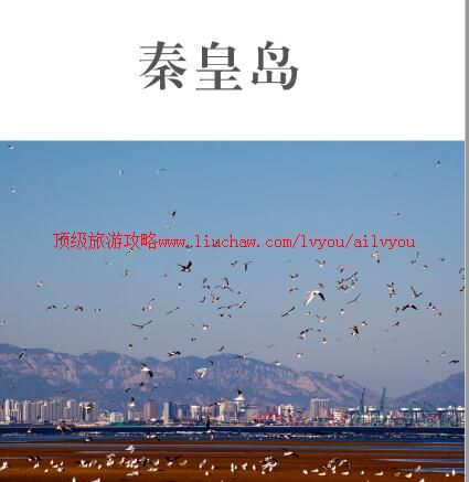 ailvyou900�ػʵ����ι���   ��35Ԫ