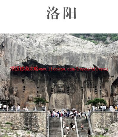 ailvyou881�������ι���           ��35Ԫ