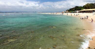 ailvyou863��֧�޵����ι���      ��20Ԫ