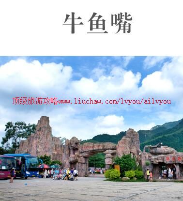 ailvyou836ţ�������ι���       ��20Ԫ