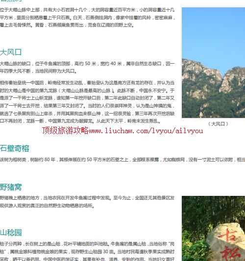 ailvyou836ţ�������ι���       ��20Ԫ