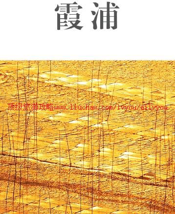 ailvyou812ϼ�������ι���     ��20Ԫ