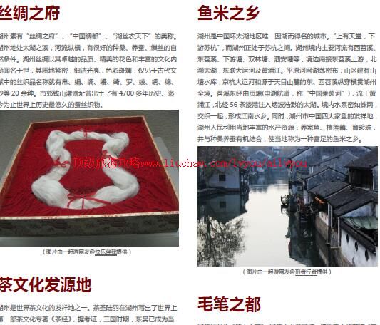 ailvyou801�������ι���           ��20Ԫ