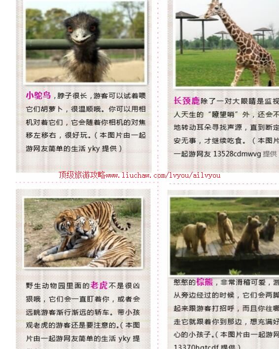 ailvyou752�����ͳ�Ұ������԰���ι�����20Ԫ