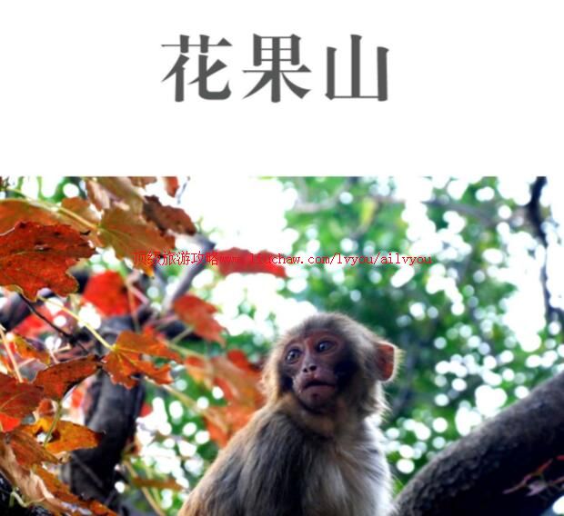 ailvyou720����ɽ���ι���      ��20Ԫ