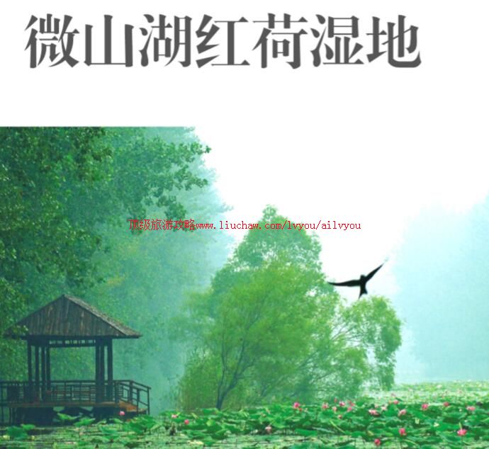 ailvyou714΢ɽ��ʪ�غ�����ι���  ��20Ԫ