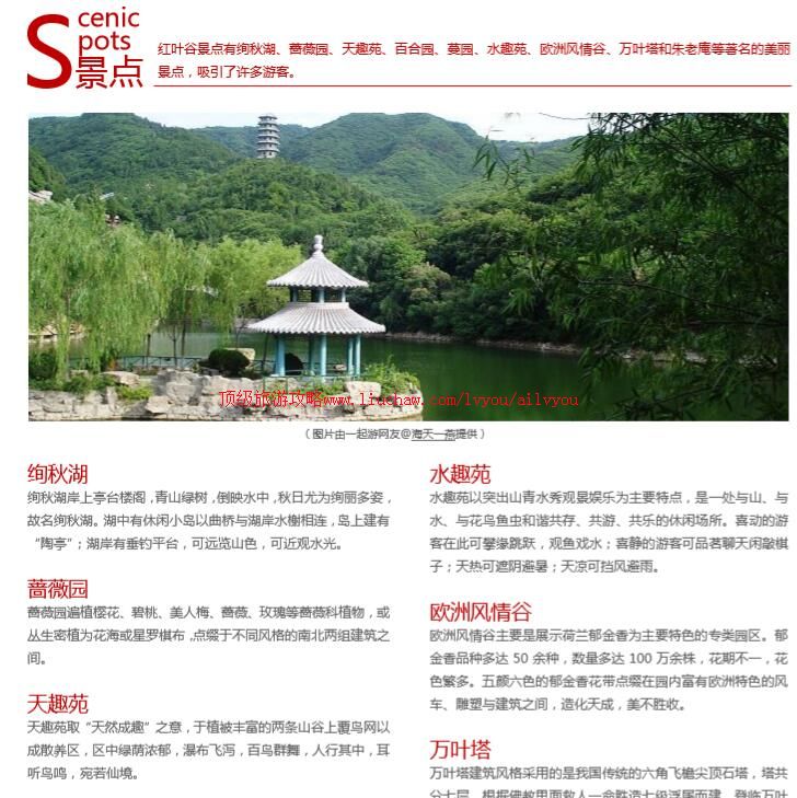 ailvyou701��Ҷ�����ι��� ��20Ԫ