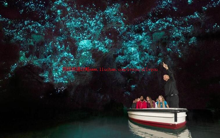 新西兰怀托摩萤火虫洞旅游攻略