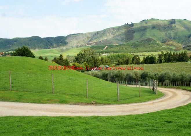 新西兰罗托鲁阿爱歌顿牧场旅游攻略