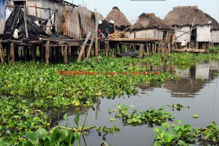 ������ά�������ι���