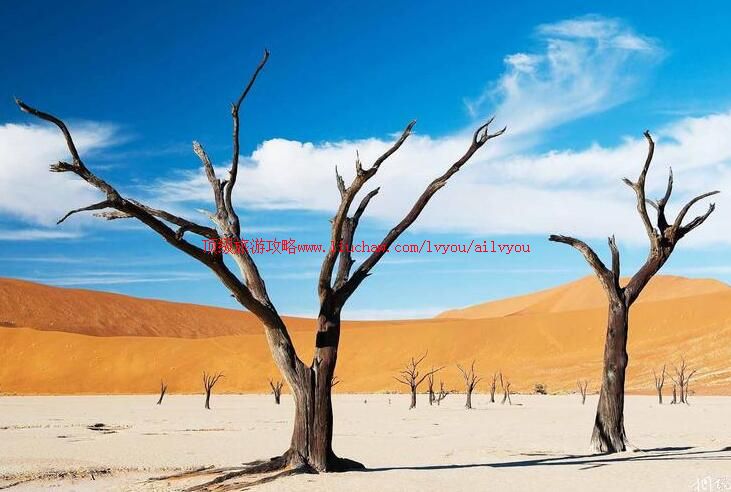 ���ױ������������ι���