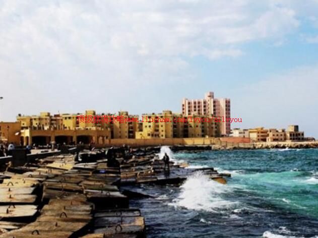 ��������ɽ�������ι���