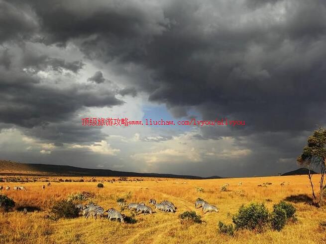 �����������������ұ��������ι���