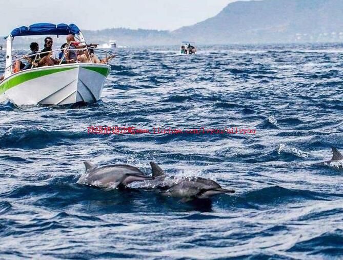 毛里求斯海豚湾旅游攻略