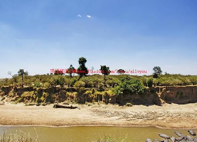 ̹ɣ�������׸ǵٹ��ҹ�԰���ι���