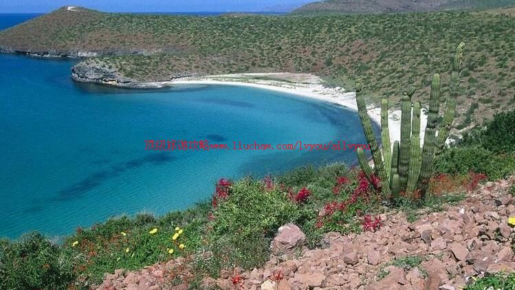 ī������������������ι���