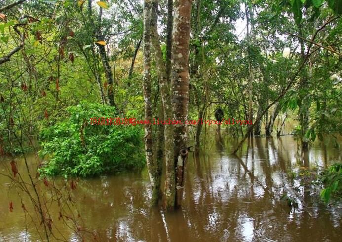 ��������ѷ�������ι���