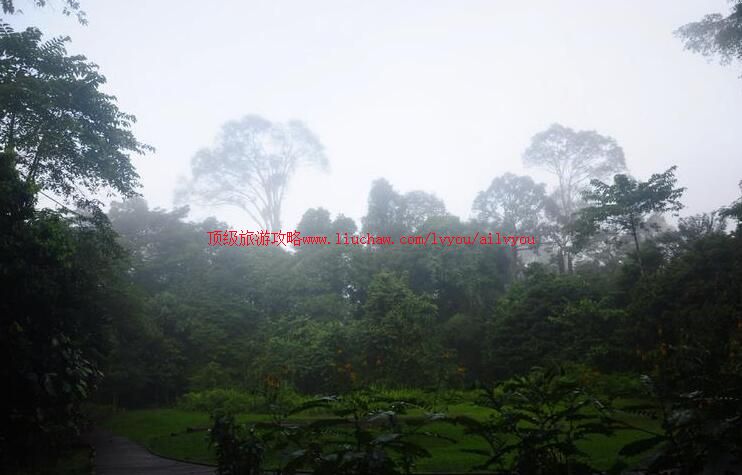 加拿大马来西亚姆禄国家公园旅游攻略