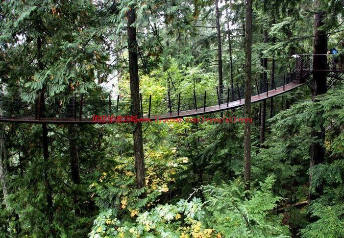 加拿大卡皮拉诺吊桥公园旅游攻略