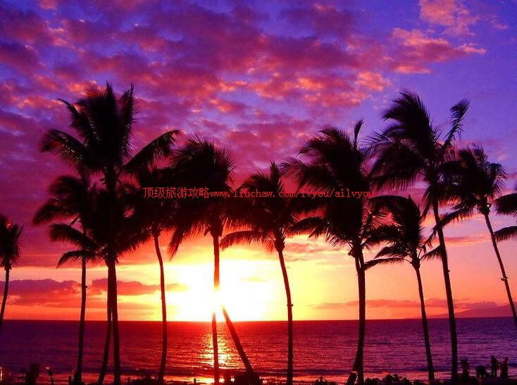 �������������ι���