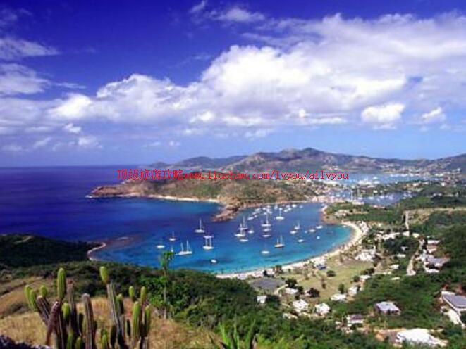 ���ձȰ���ϺͰͲ������ι���