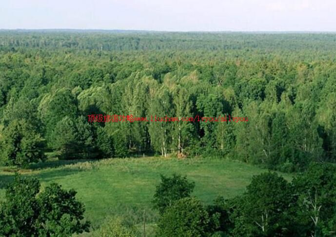 �׶���˹����Τ����Ȼ���������ι���