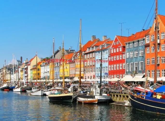 ����籾���������ι���