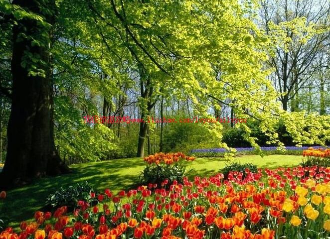 ������ϻ���԰���ι���