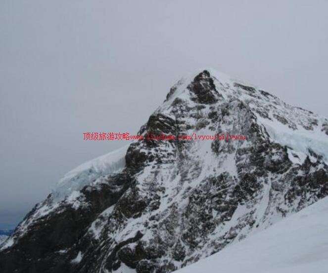 ��ʿ��Ů�����ι���