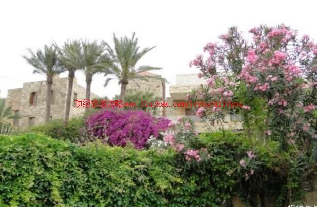 ����۱Ȳ�³˹�ų����ι���