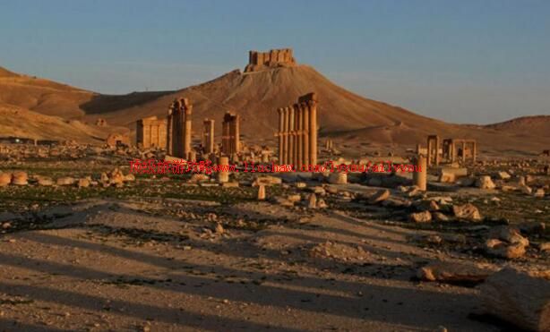 叙利亚帕尔米拉古城旅游攻略