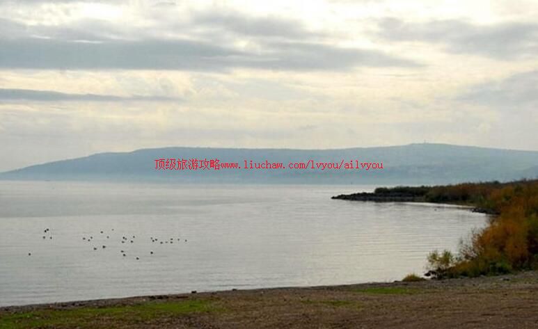 ��ɫ�м����������ι���