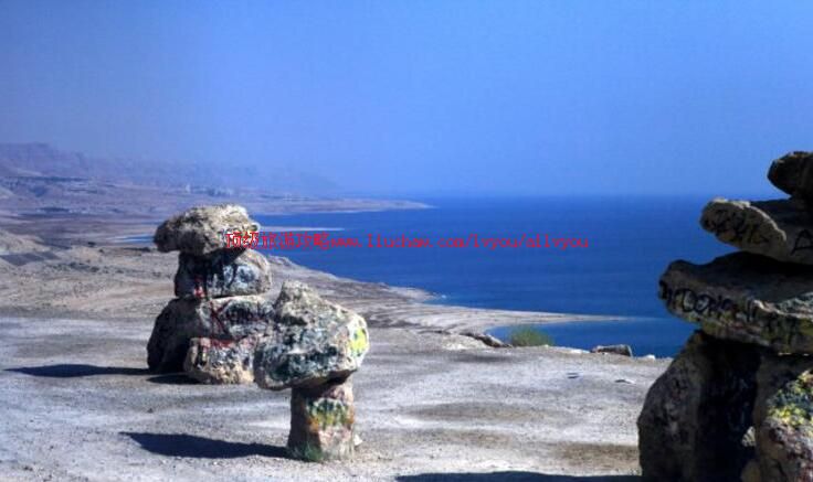 Լ���������ι���