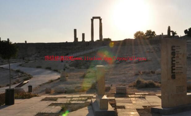 Լ���������ų����ι���