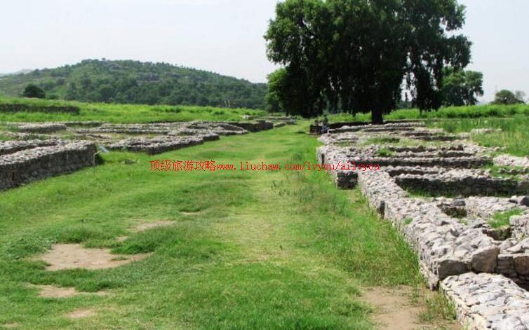 �ͻ�˹̹���������ų����ι���