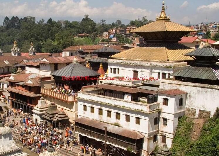 �Ჴ���ӵ��������ι���