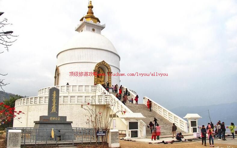 �Ჴ�������ƽ�����ι���