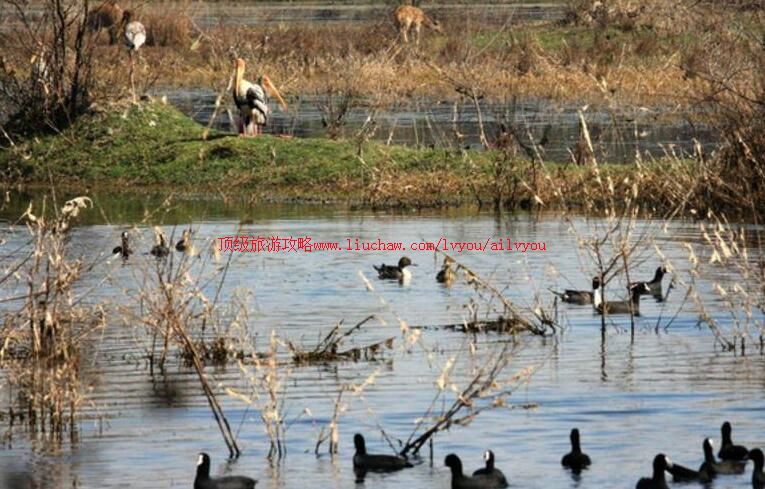 ӡ�ȿ������°¹��ҹ�԰���ι���