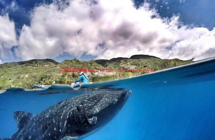 ���ɱ������ǵ����ι���