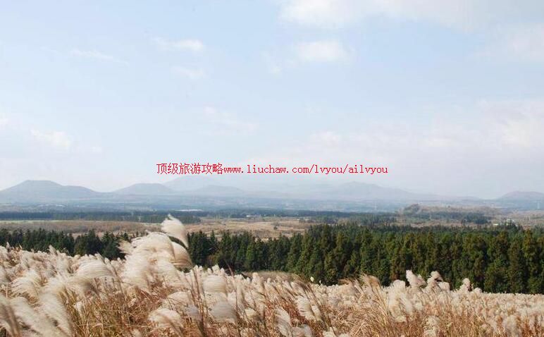 韩国济州岛山君不离旅游攻略