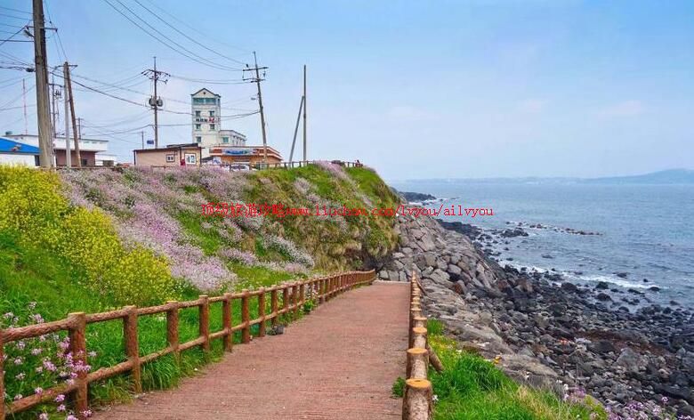 �������ݵ�ż��С·���ι���