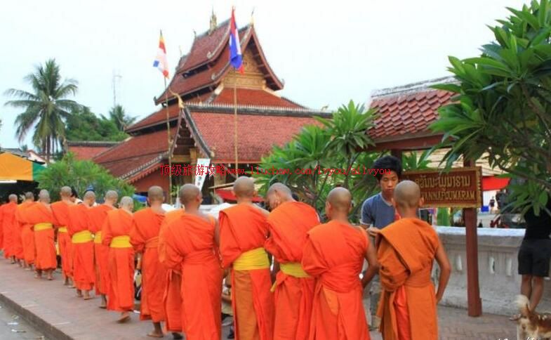 �����Ų�����ų����ι���