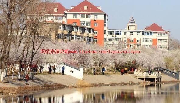 天津桃花园堤旅游攻略