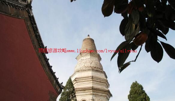 ����ذ��������ι���