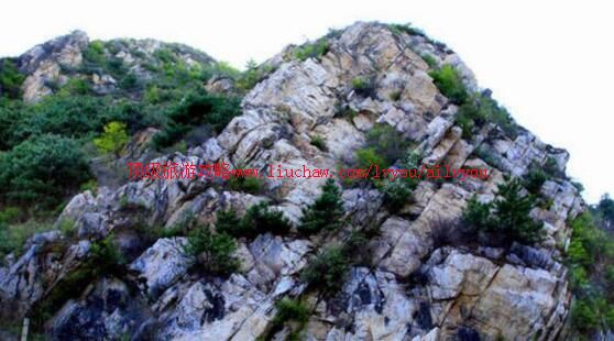 ���������Ԫ�Ž�ز�������Ҽ���Ȼ���������ι���