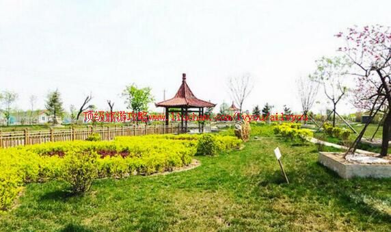 3A天津名洋湖都市庄园旅游攻略