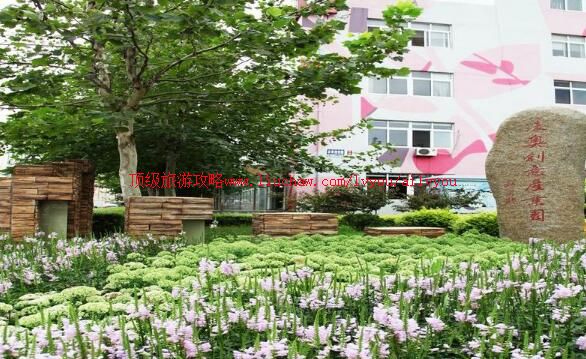 3A�����´����ҵ԰���ι���