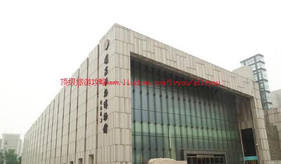 �������Ҷ��ﲩ���