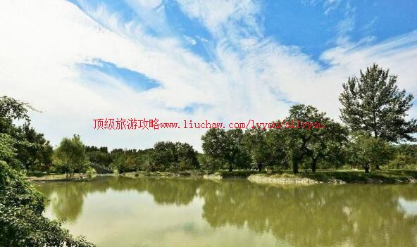 2A�����������ֹ�ɣ԰���ι���